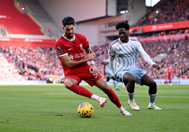 全世界的网 全世界的网