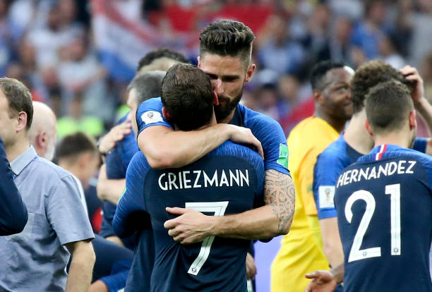 的观赏性和 的观赏性和